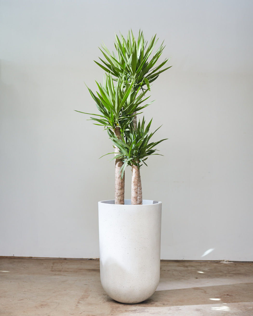 SEAPORT PLANTER Large 17 Inch